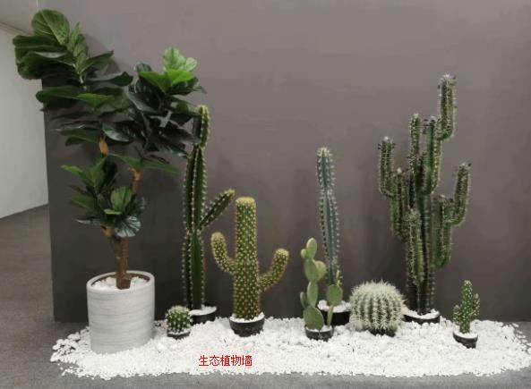 ֲ̬ǽ